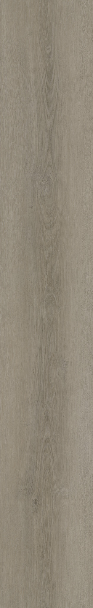 ZEN ASH/23X153X0,6/SPC - 40390_ZEN-ASH_23X153X06_SPC_1