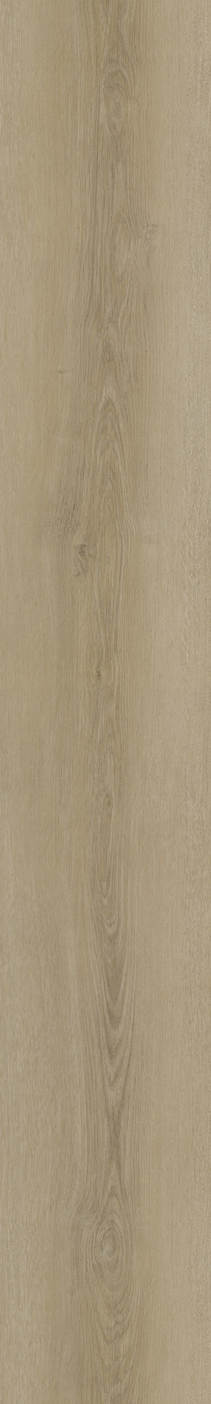 ZEN TAUPE/23X153X0,6/SPC - 40391_ZEN-TAUPE_23X153X06_SPC_1