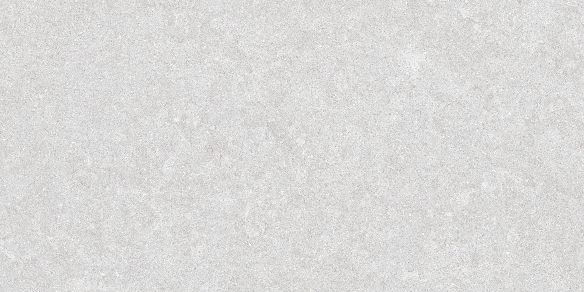 ГЕНТ СЕРЕБРО/50X100X2/A/R - 35569_GHENT-SILVER-50X100X2-A-R_01